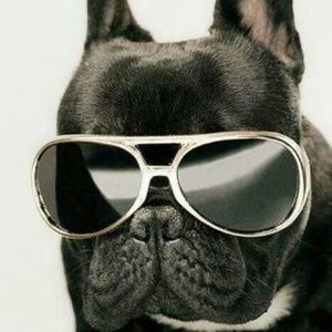 Meet your Posher, Robert